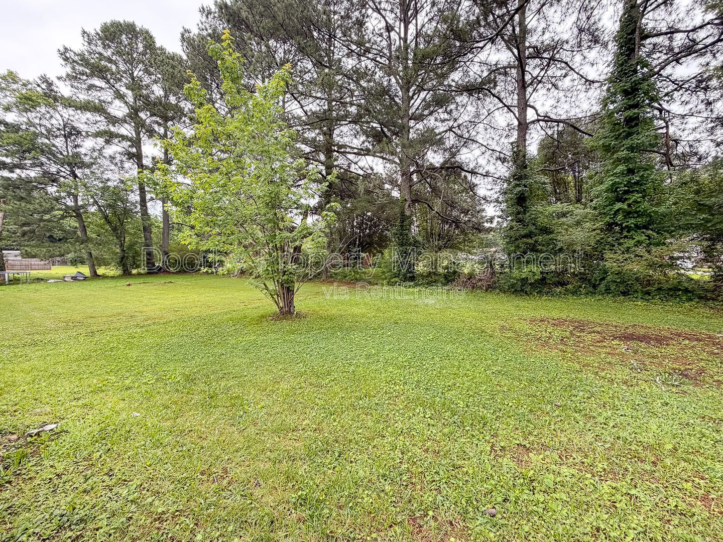 Gallery Image 15