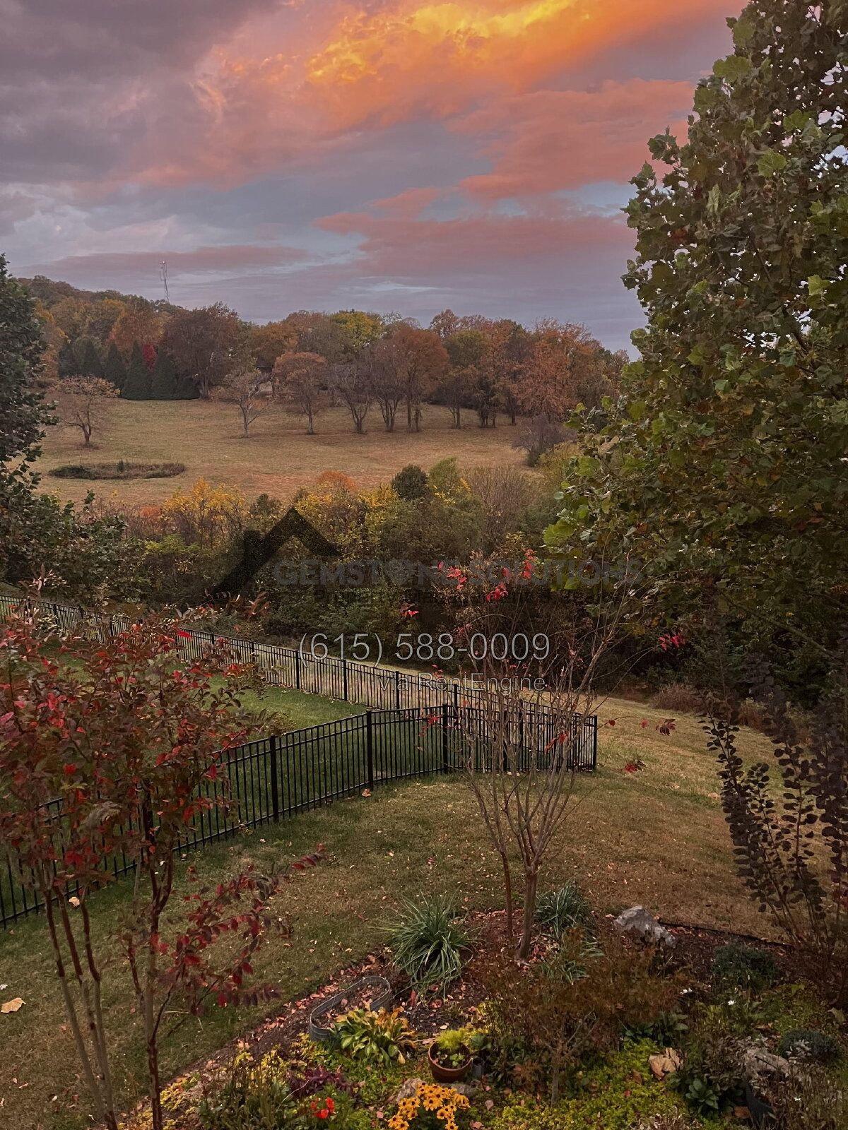 Gallery Image 40