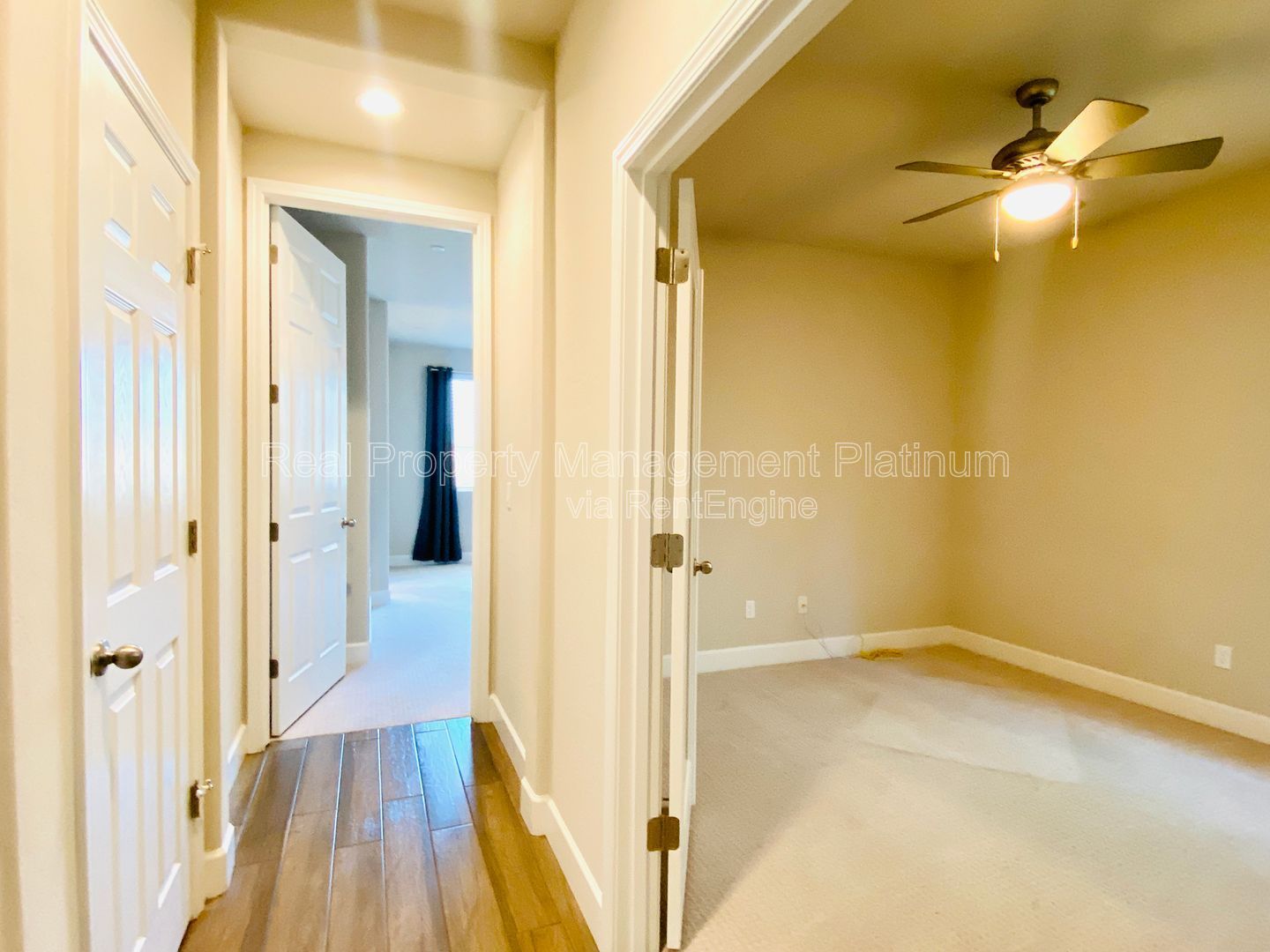 Gallery Image 16