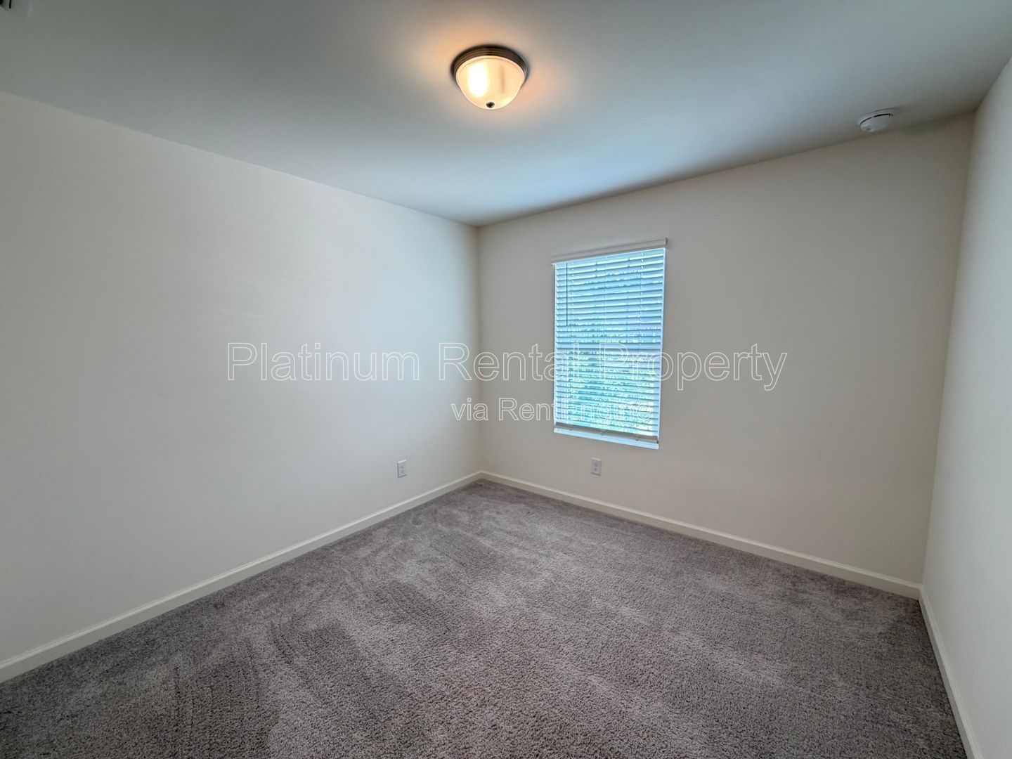Gallery Image 25