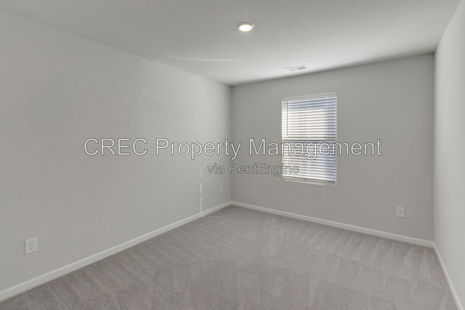 Gallery Image 19