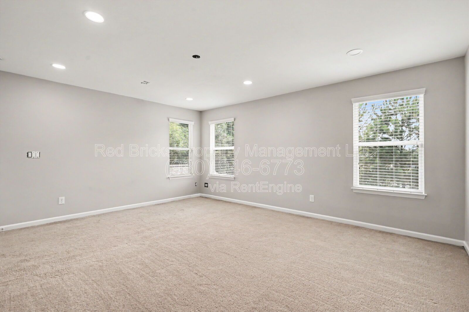 Gallery Image 19