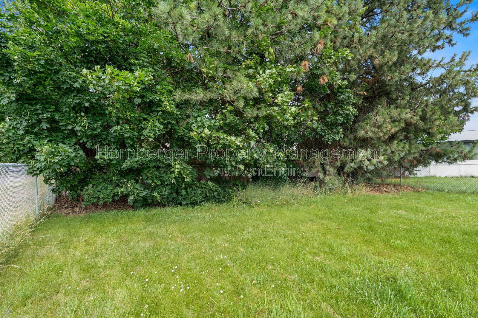 Gallery Image 28