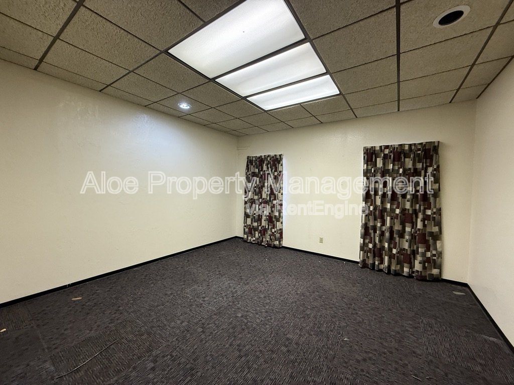 Gallery Image 19