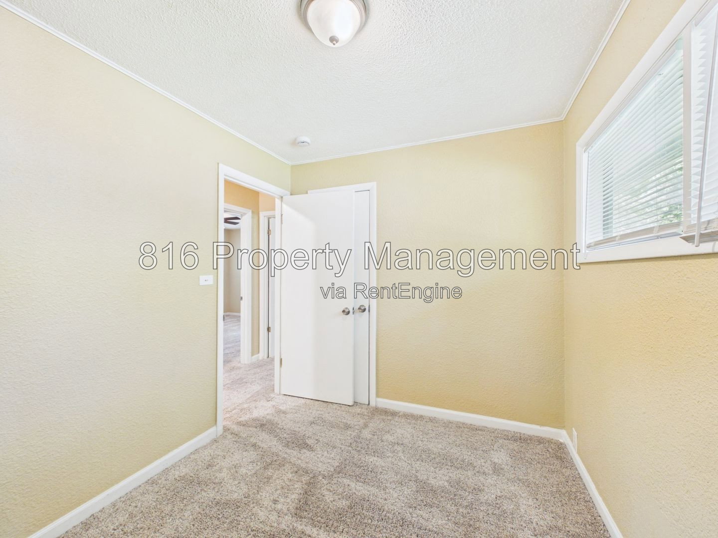 Gallery Image 19