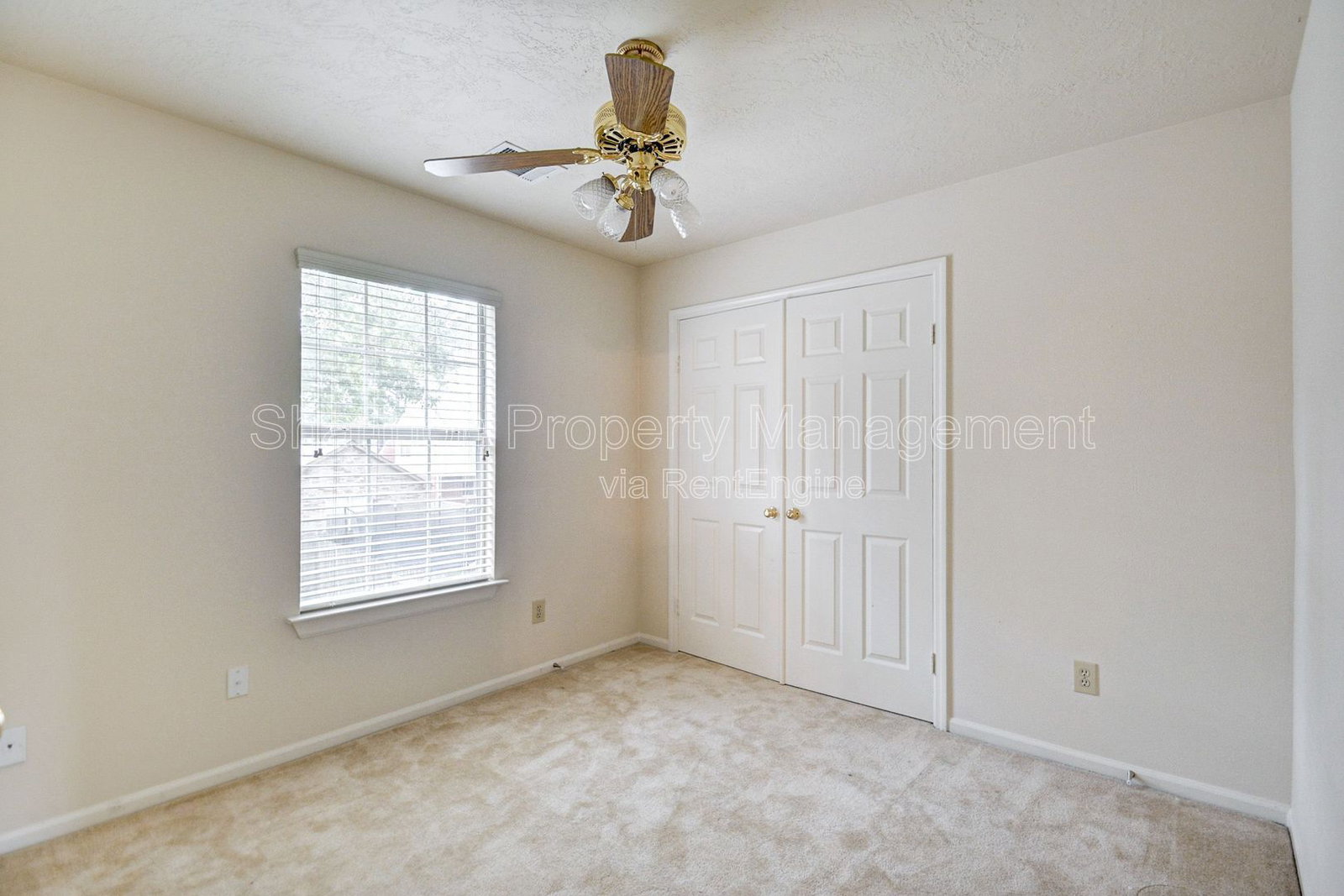 Gallery Image 19