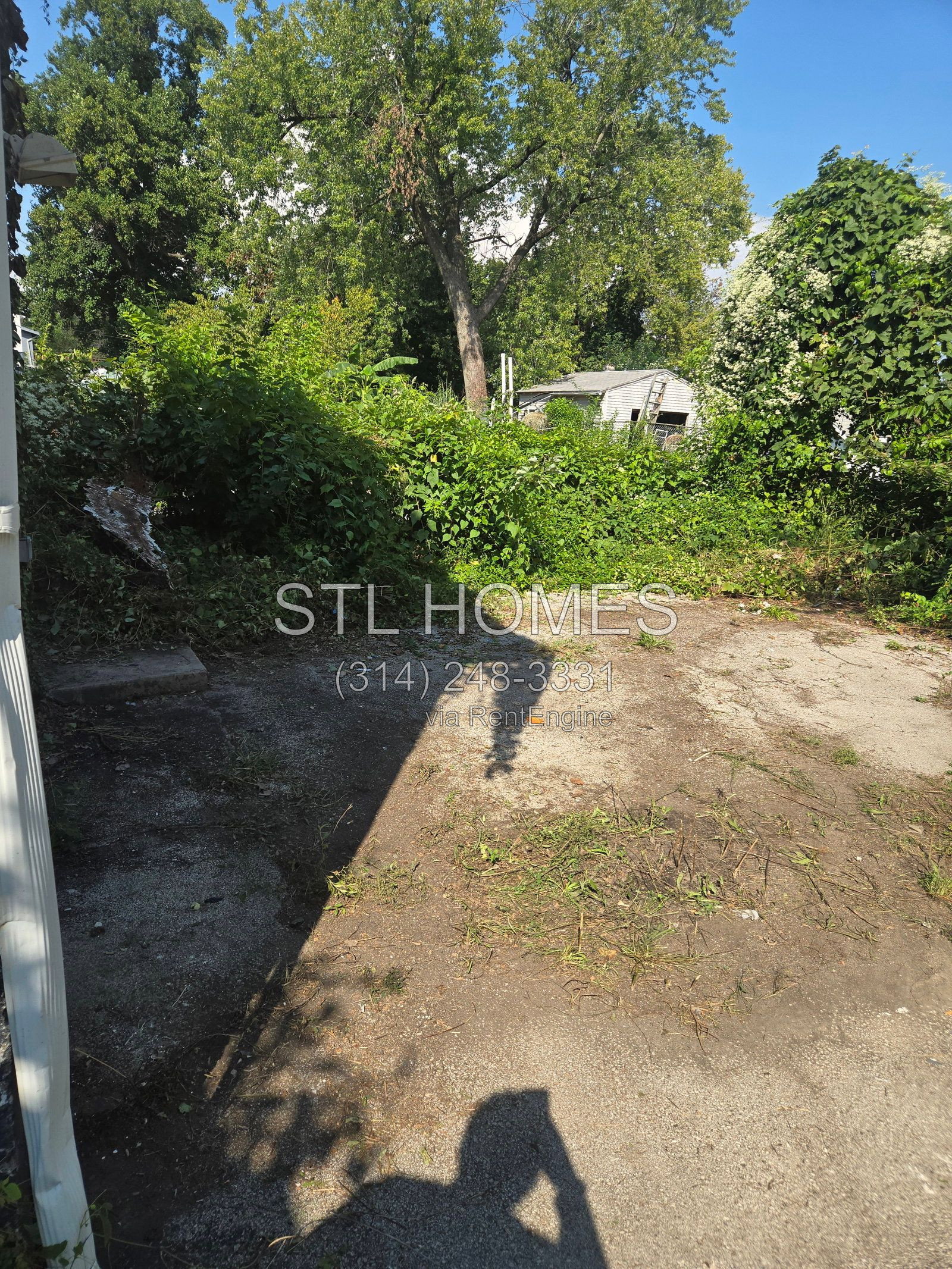 Gallery Image 16