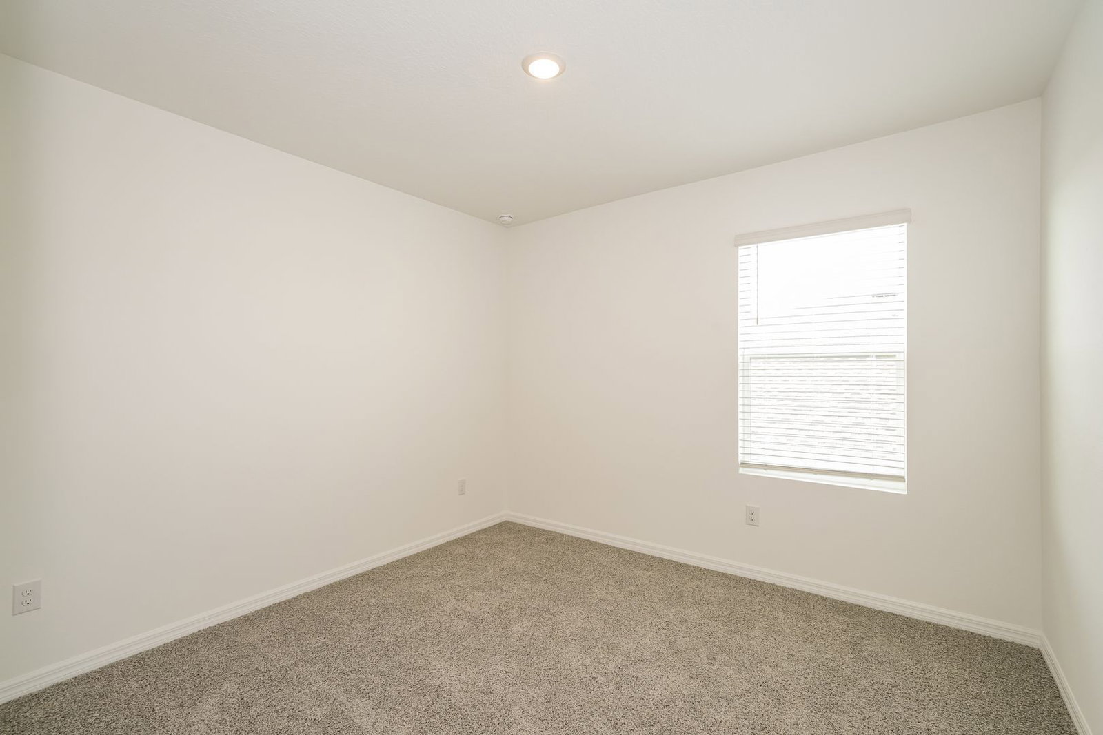 Gallery Image 19
