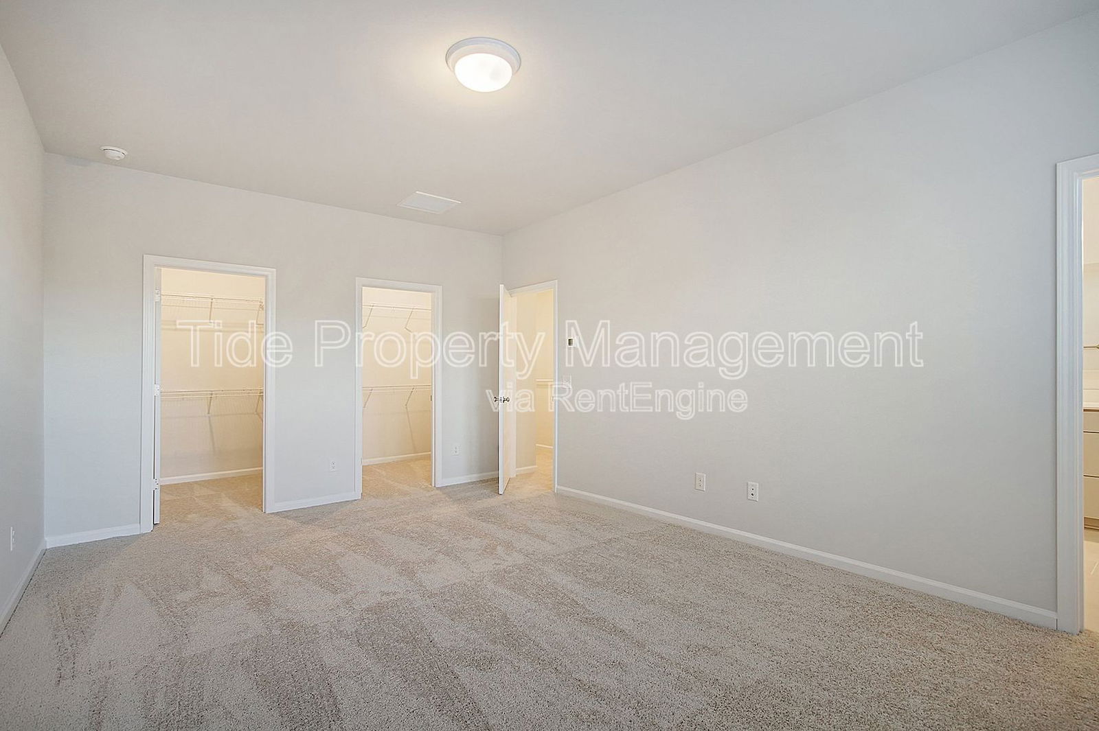 Gallery Image 19