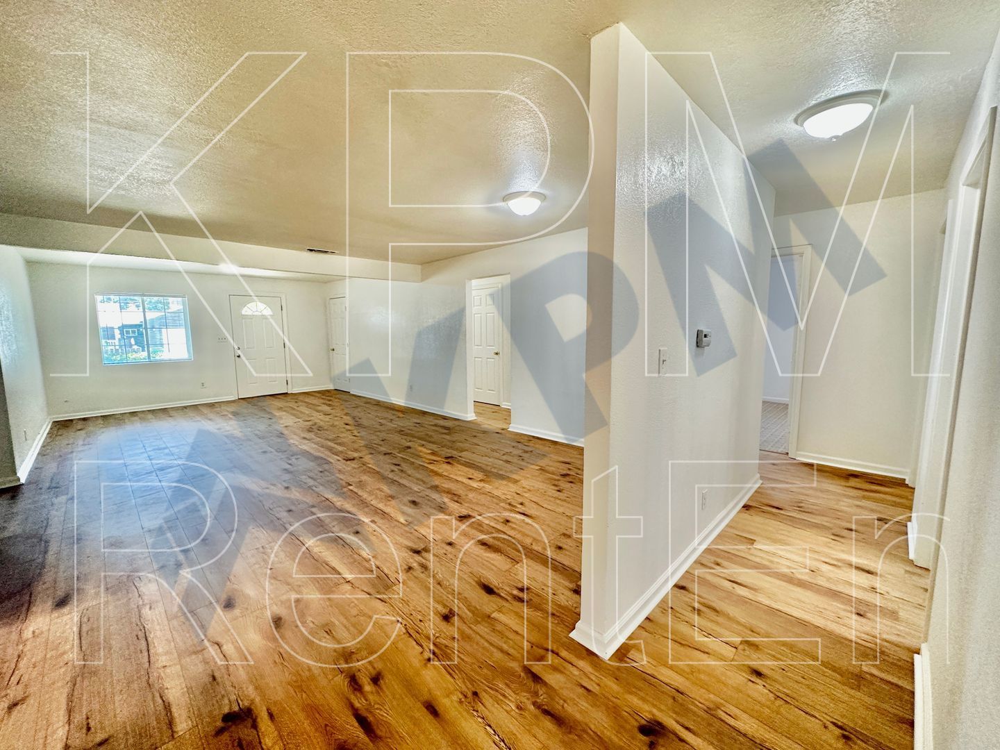Gallery Image 19