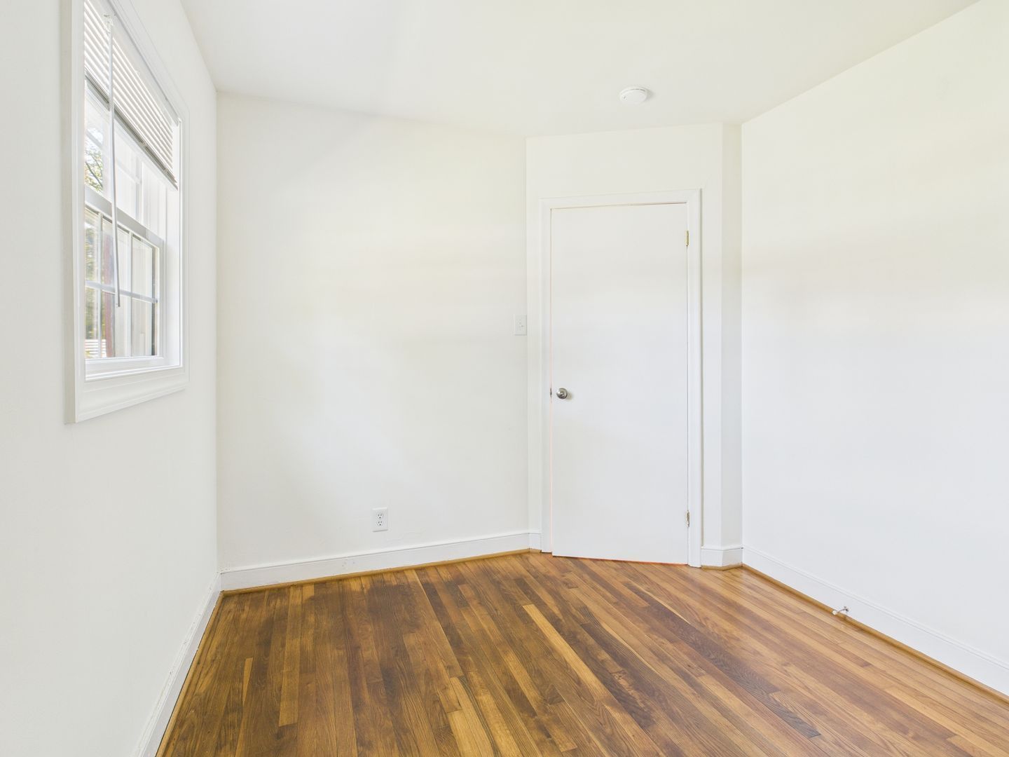 Gallery Image 19