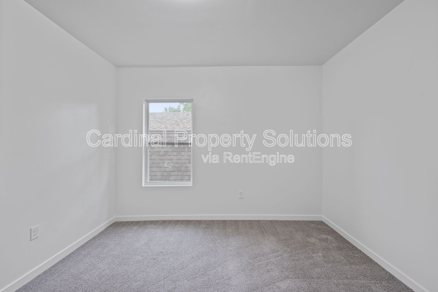 Gallery Image 20