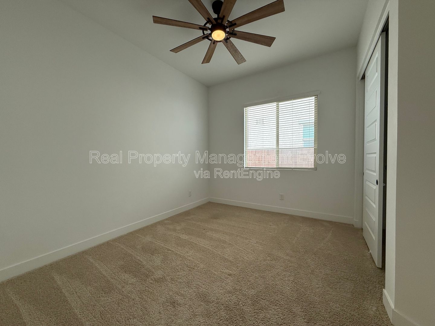 Gallery Image 38