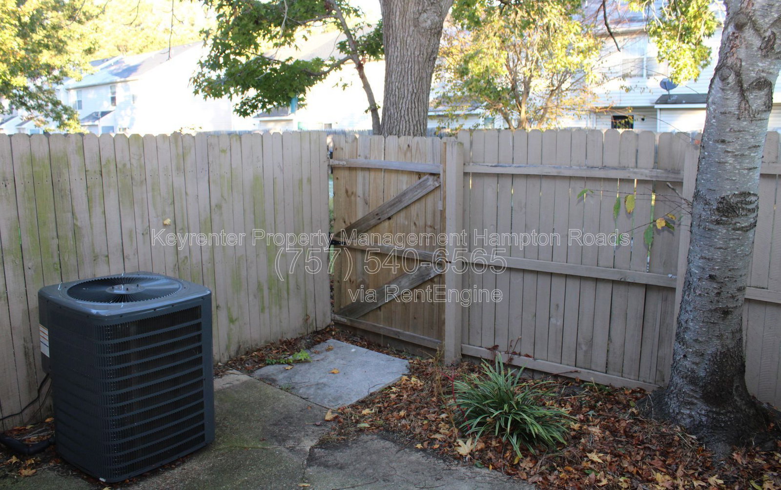 Gallery Image 37