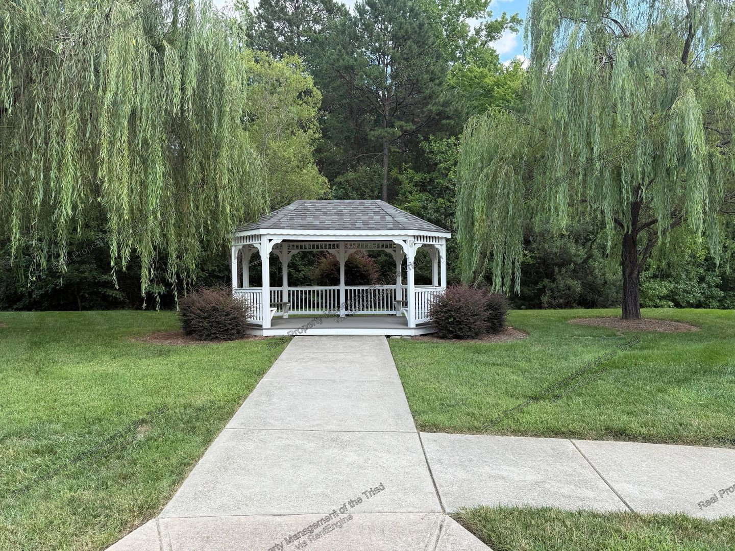 Gallery Image 19