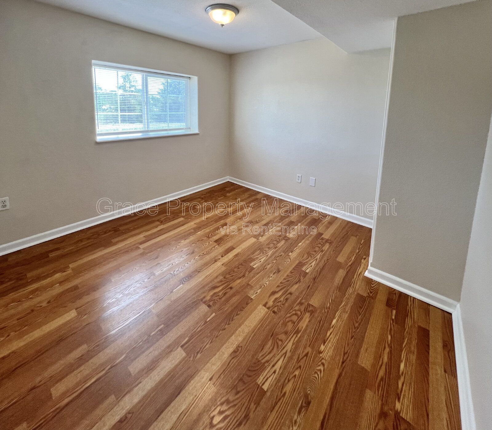 Gallery Image 20