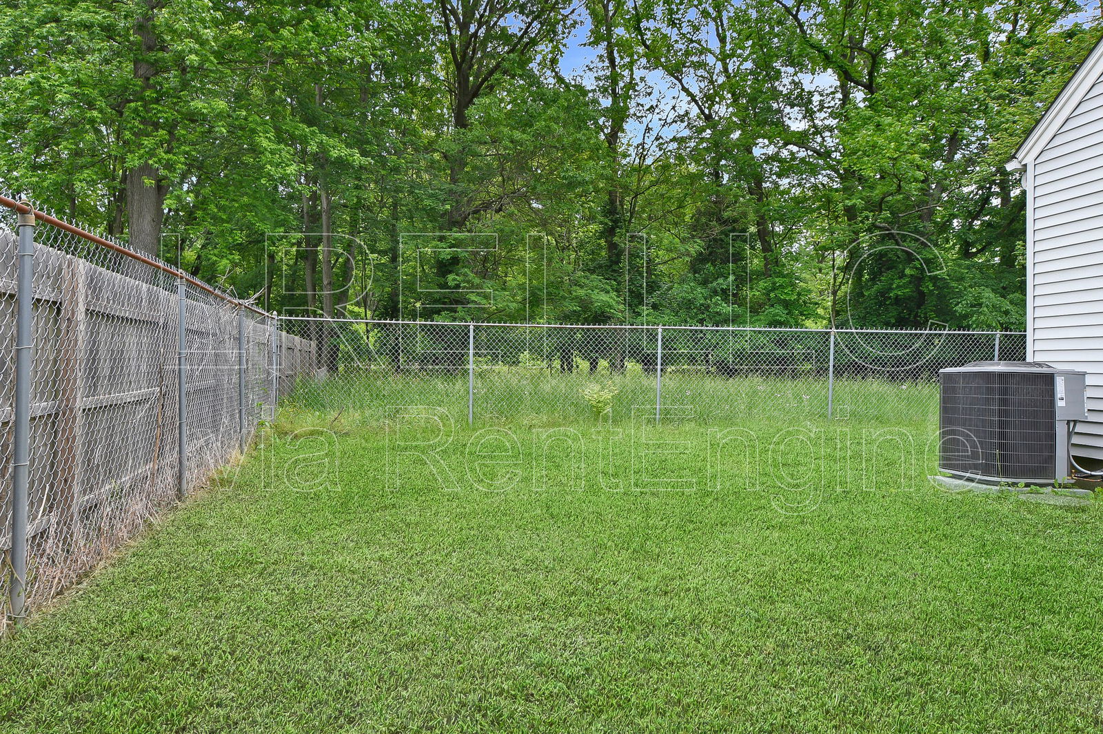Gallery Image 11