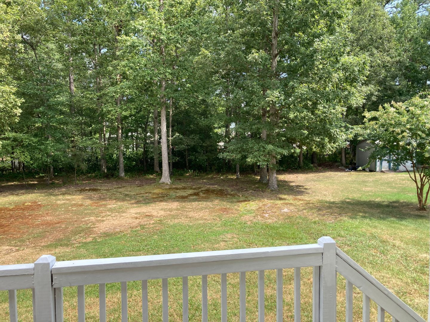 Gallery Image 28