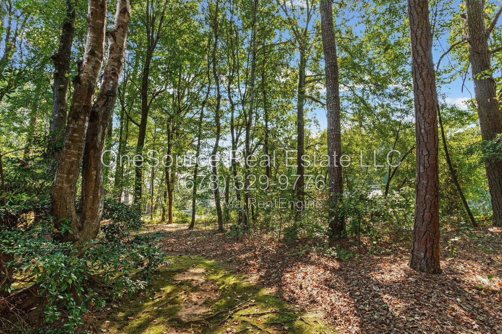 Gallery Image 29
