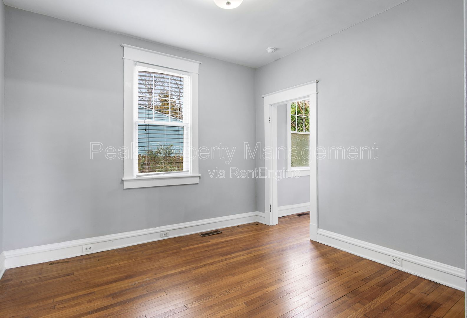 Gallery Image 18