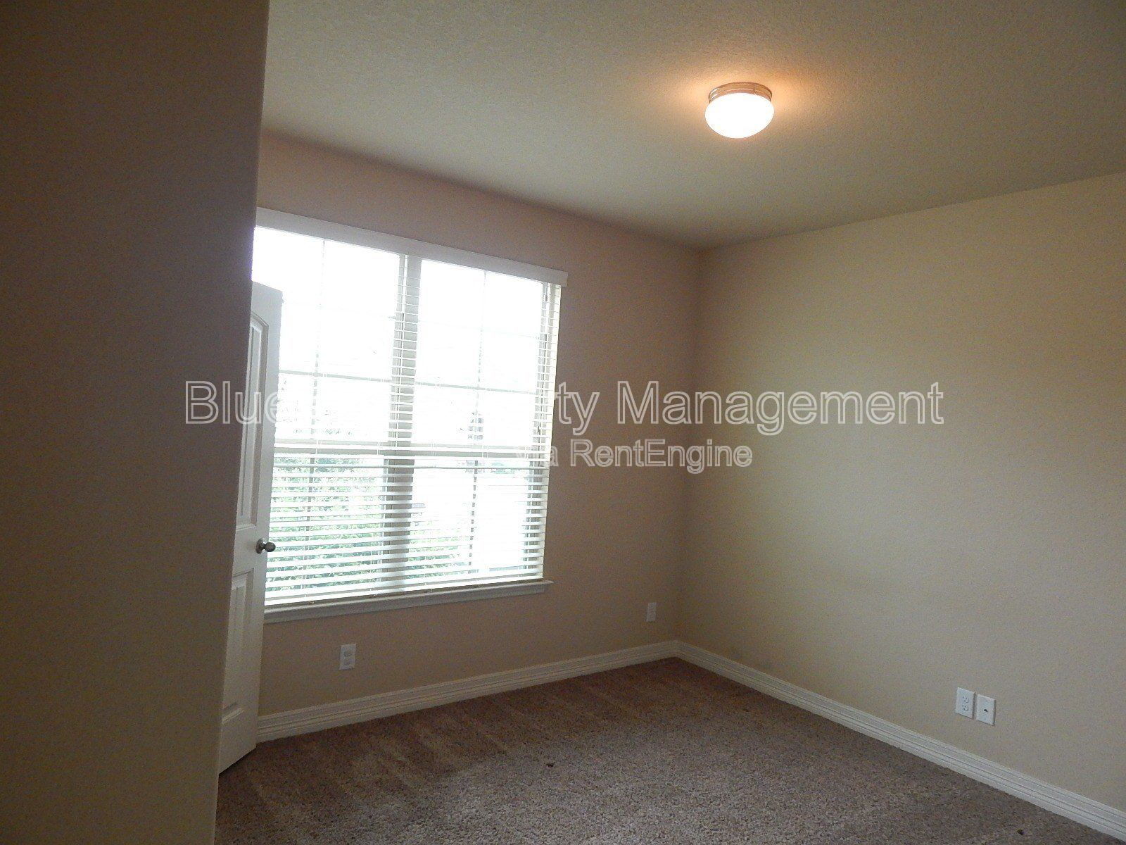Gallery Image 19