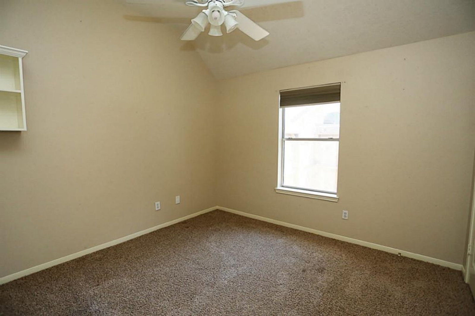 Gallery Image 20