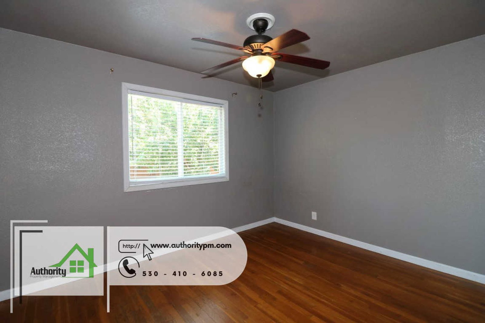 Gallery Image 13