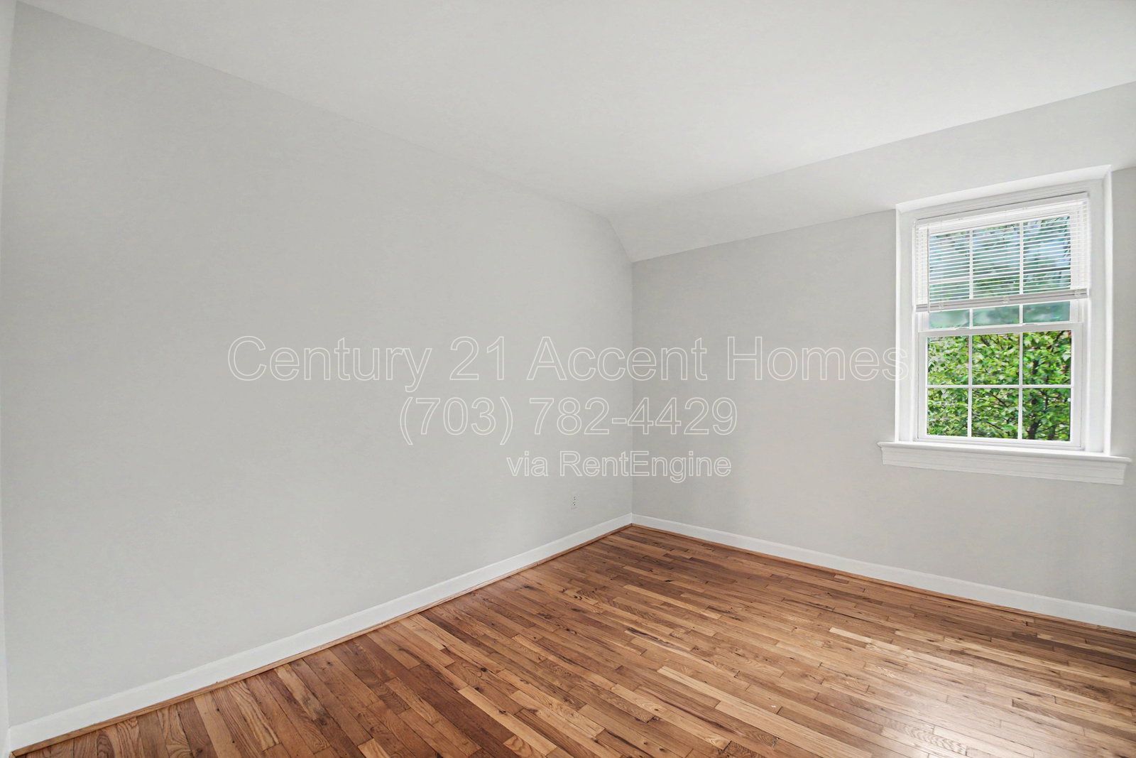 Gallery Image 19