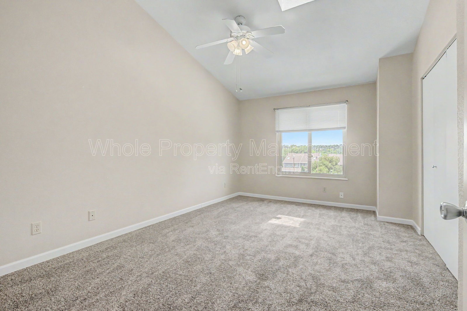 Gallery Image 16