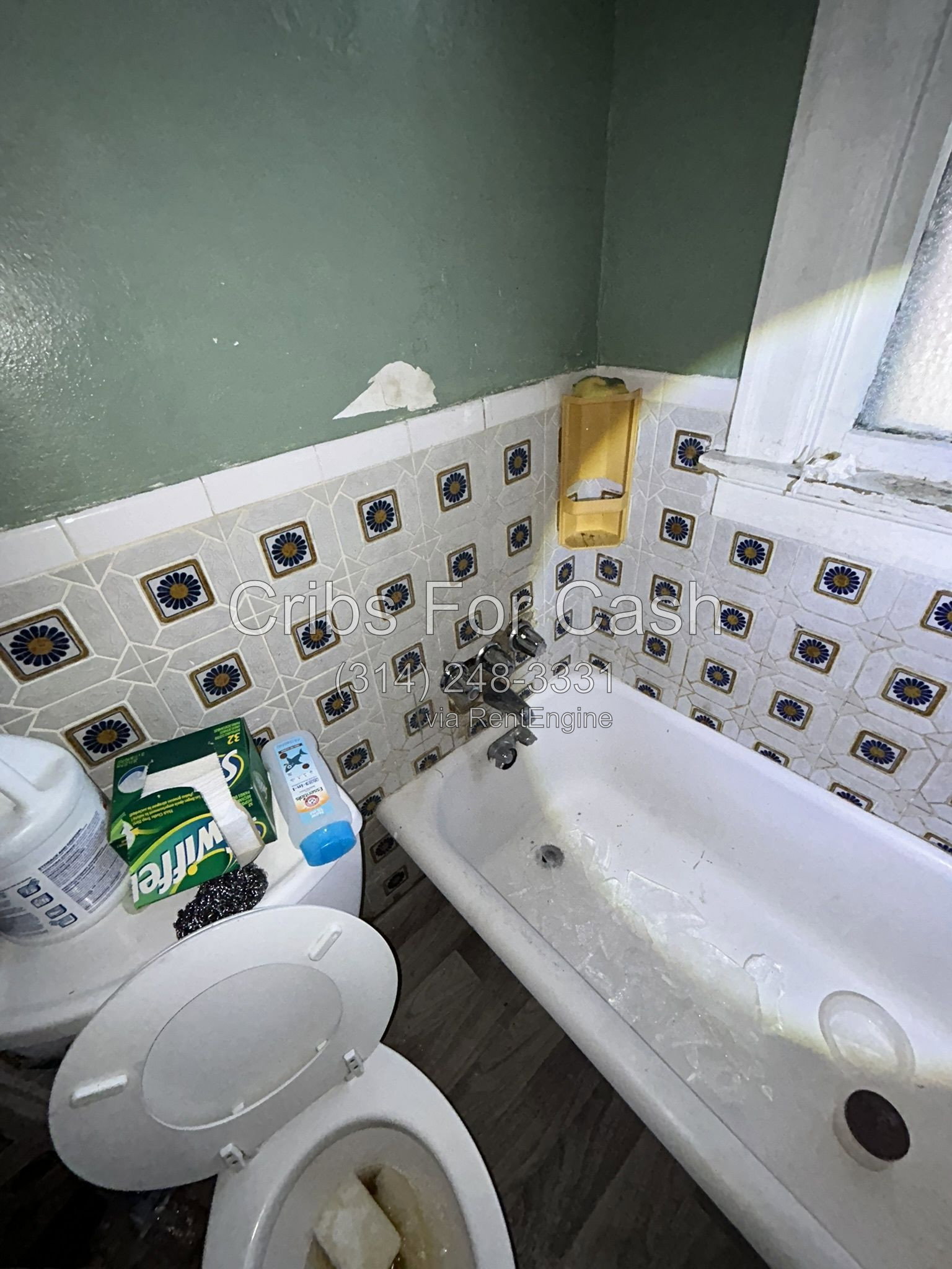 Gallery Image 8