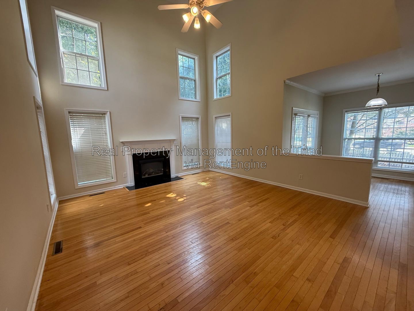 Gallery Image 10
