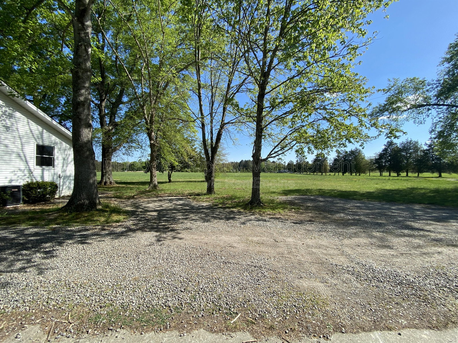 Gallery Image 29