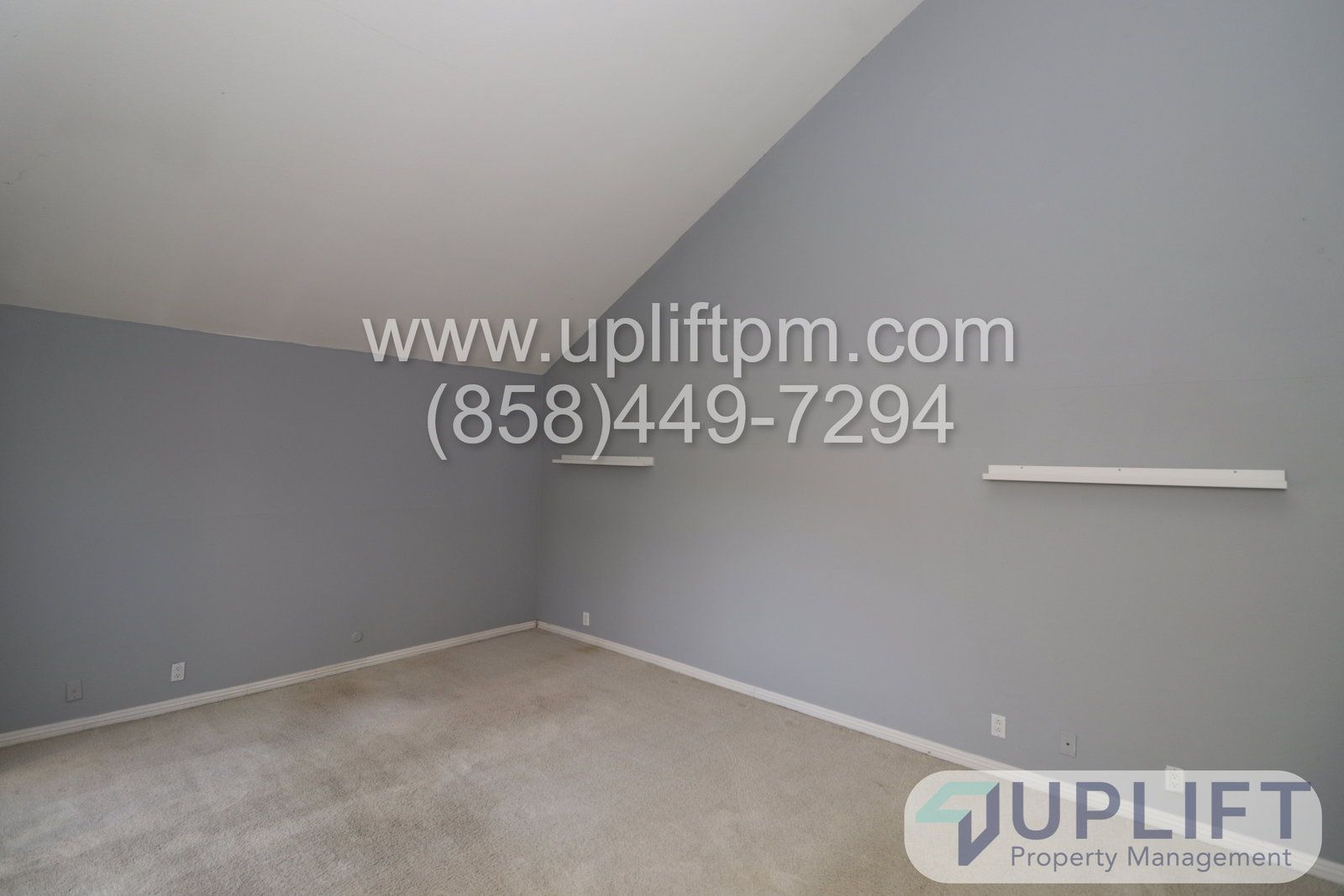 Gallery Image 20