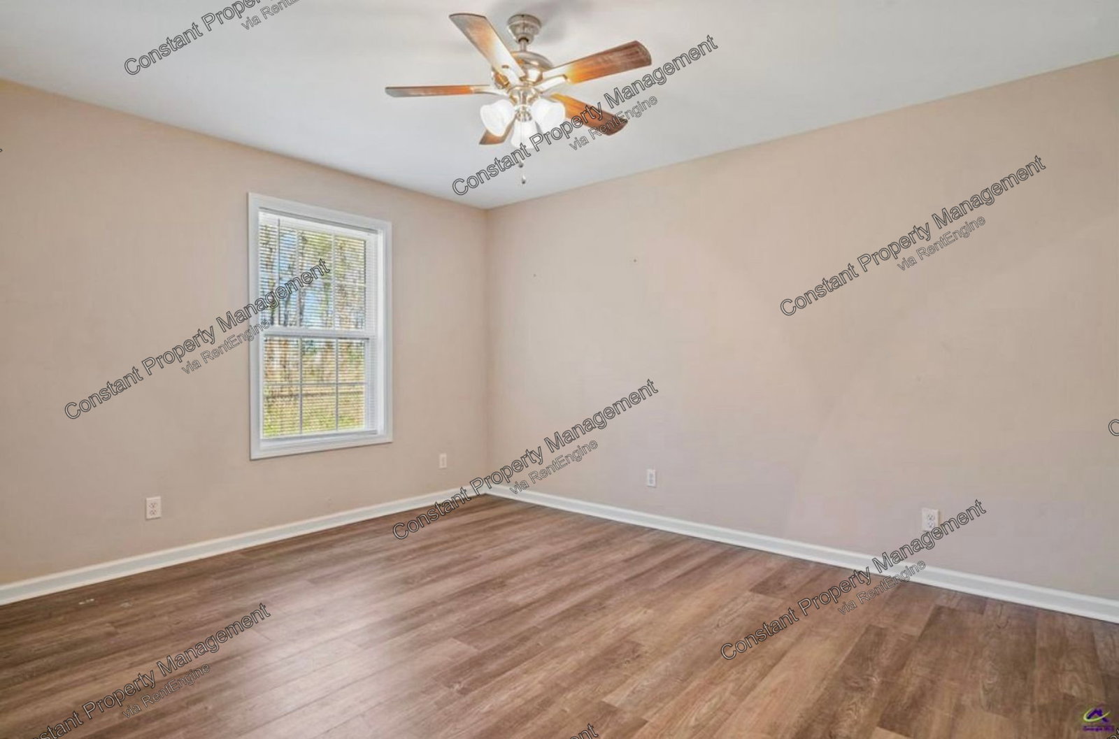 Gallery Image 19