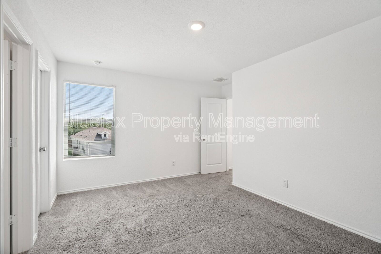 Gallery Image 19