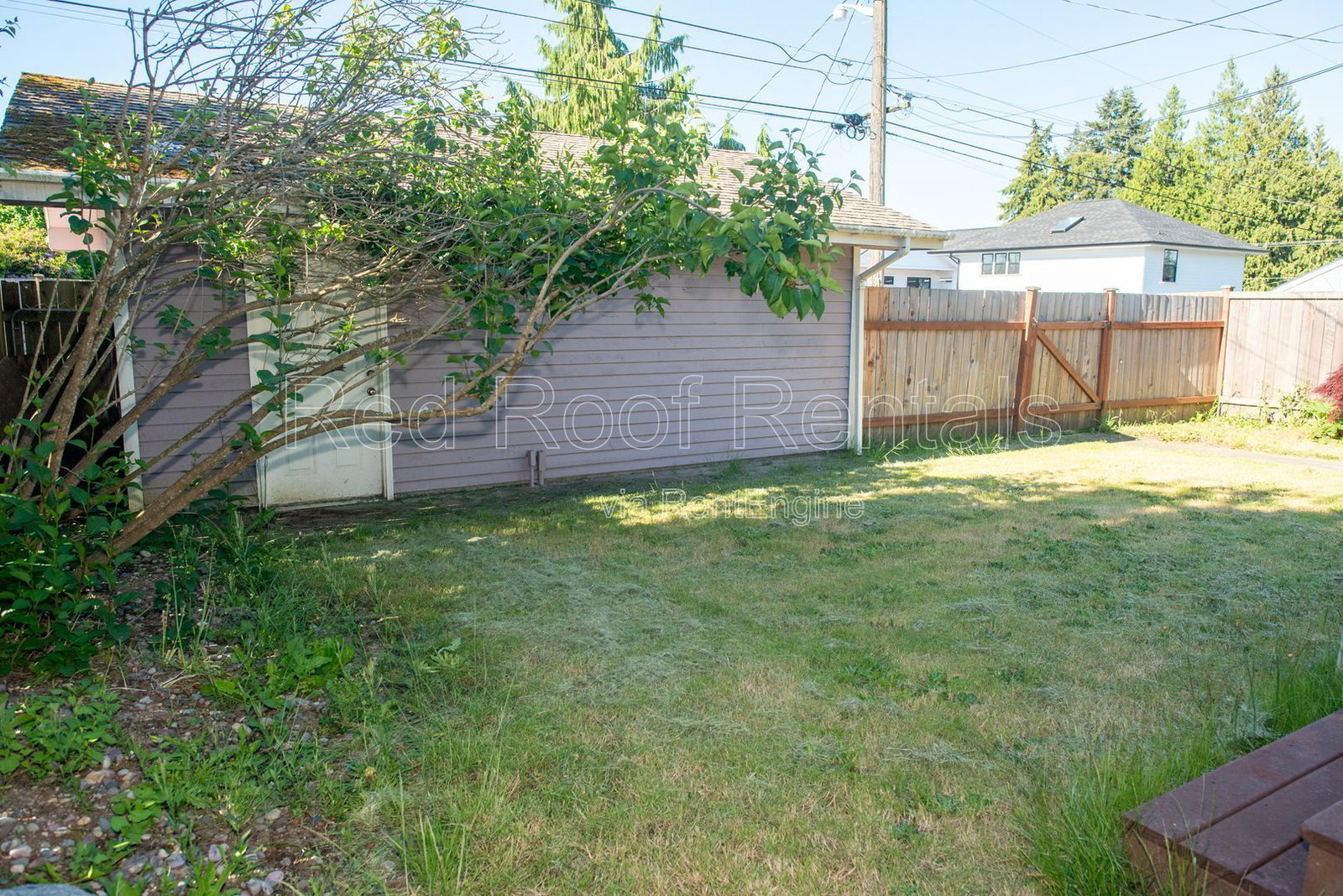 Gallery Image 41