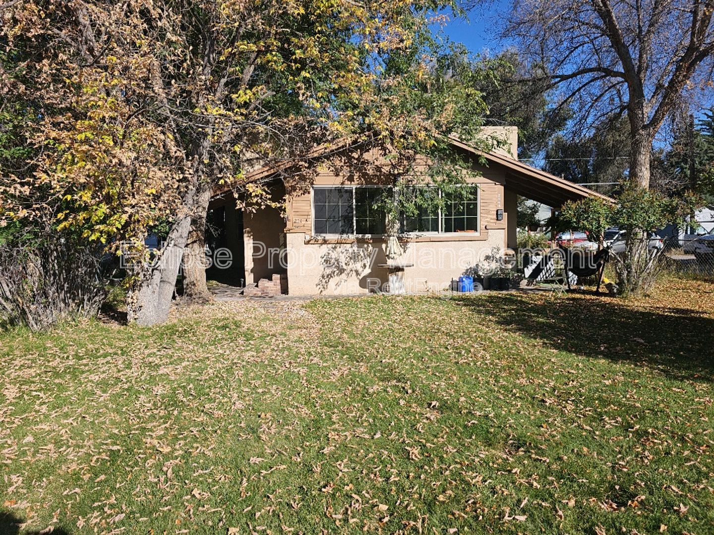 Gallery Image 0