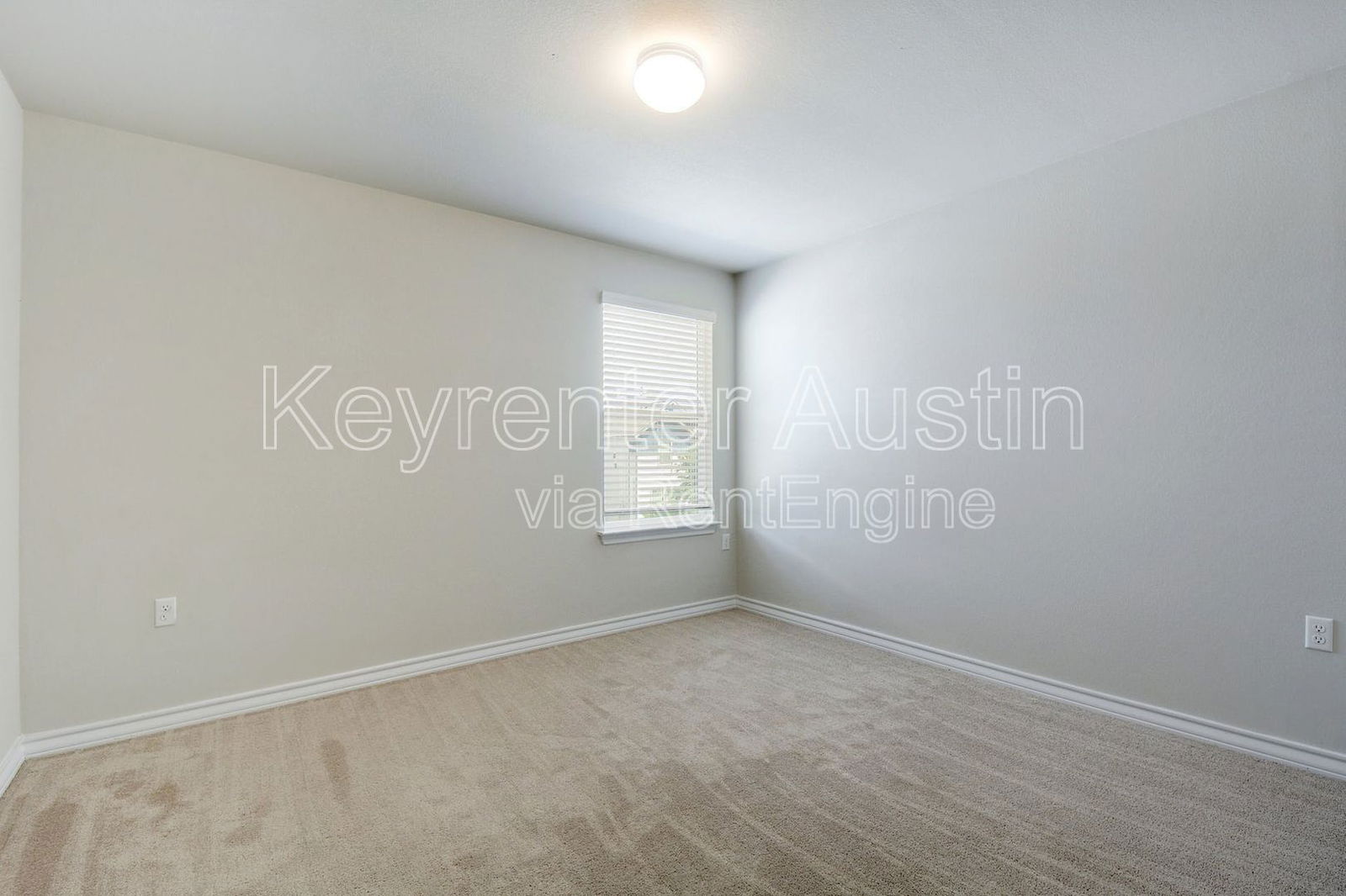 Gallery Image 20