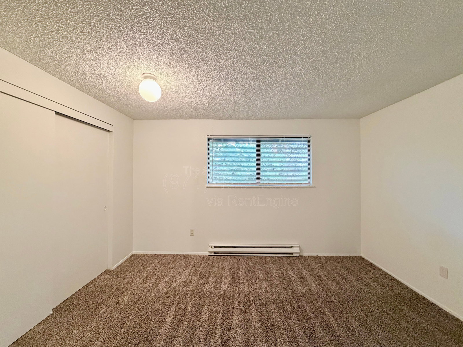 Gallery Image 21