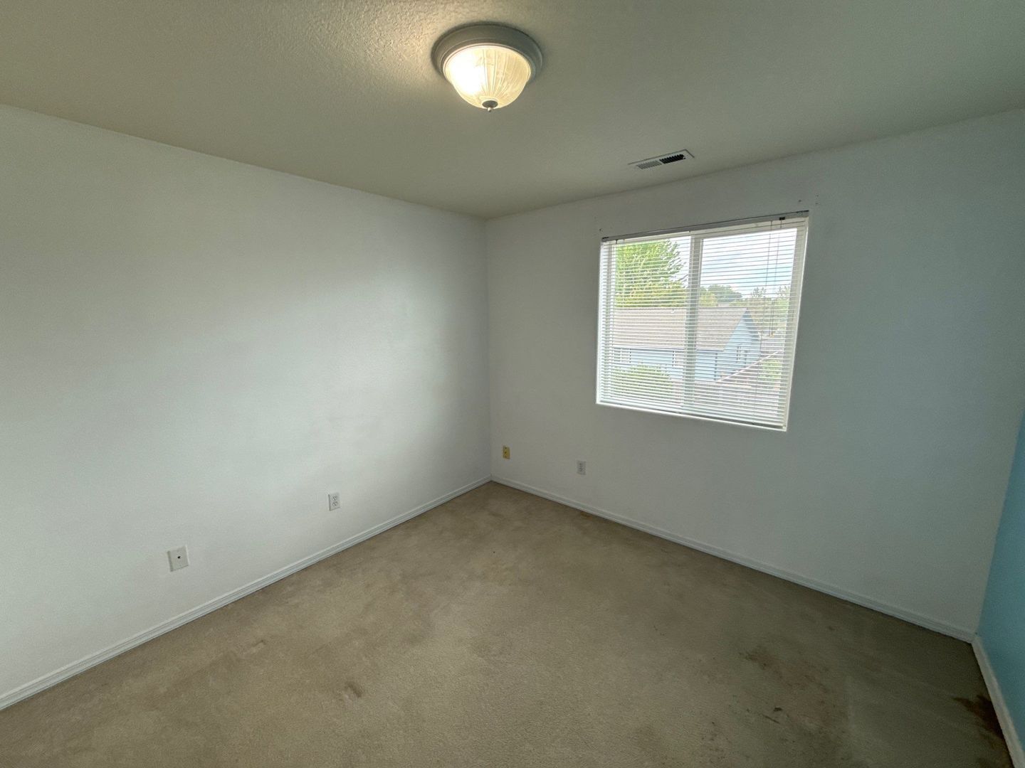 Gallery Image 21