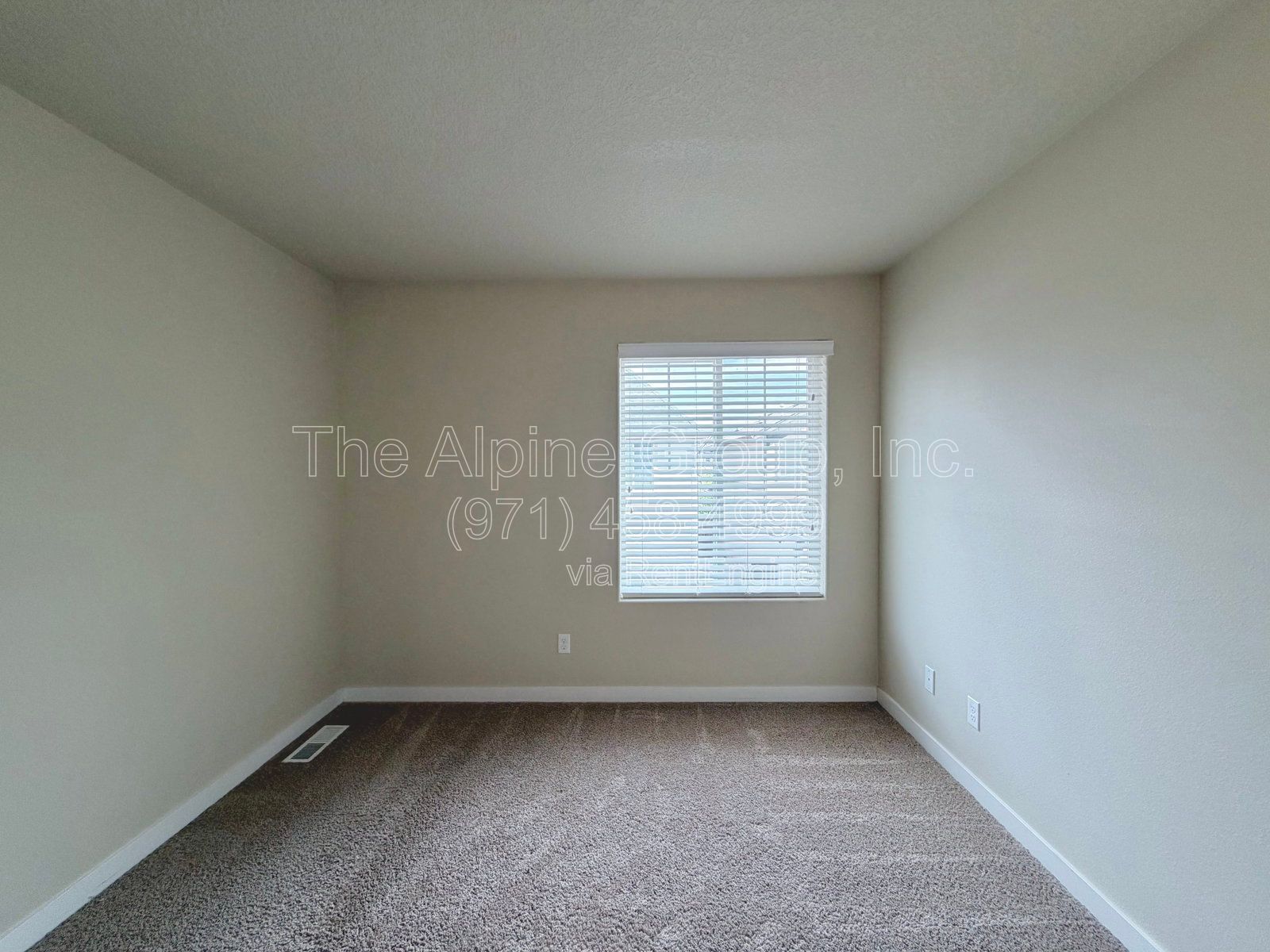 Gallery Image 20
