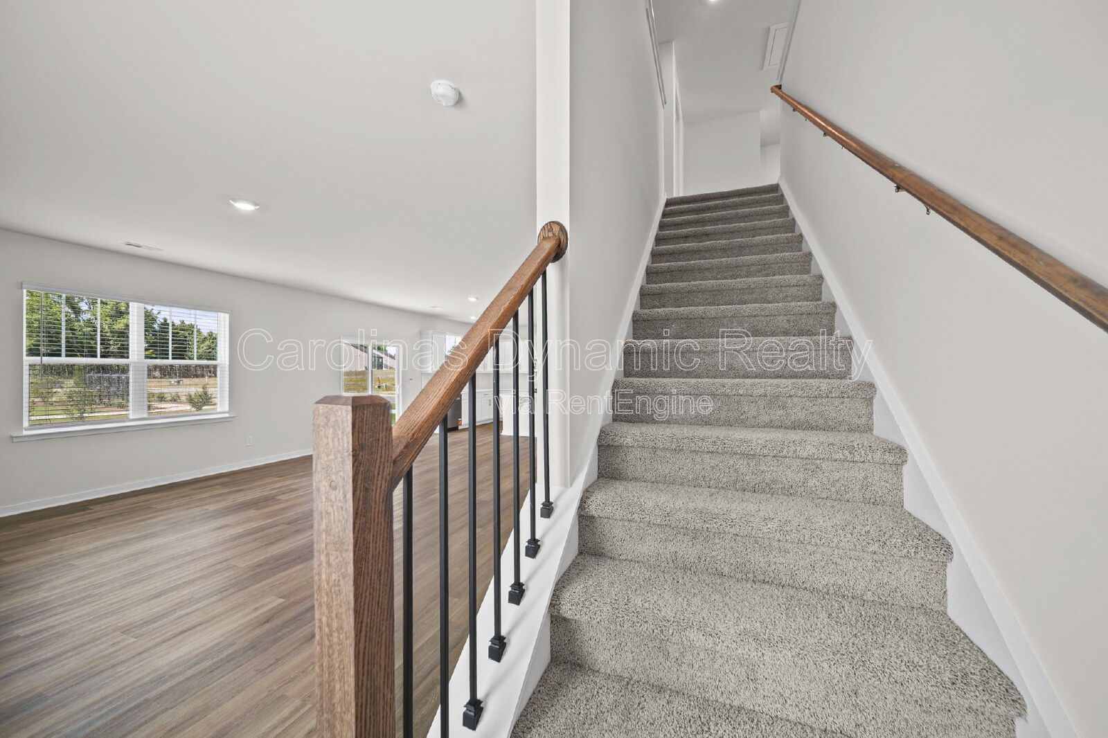 Gallery Image 16