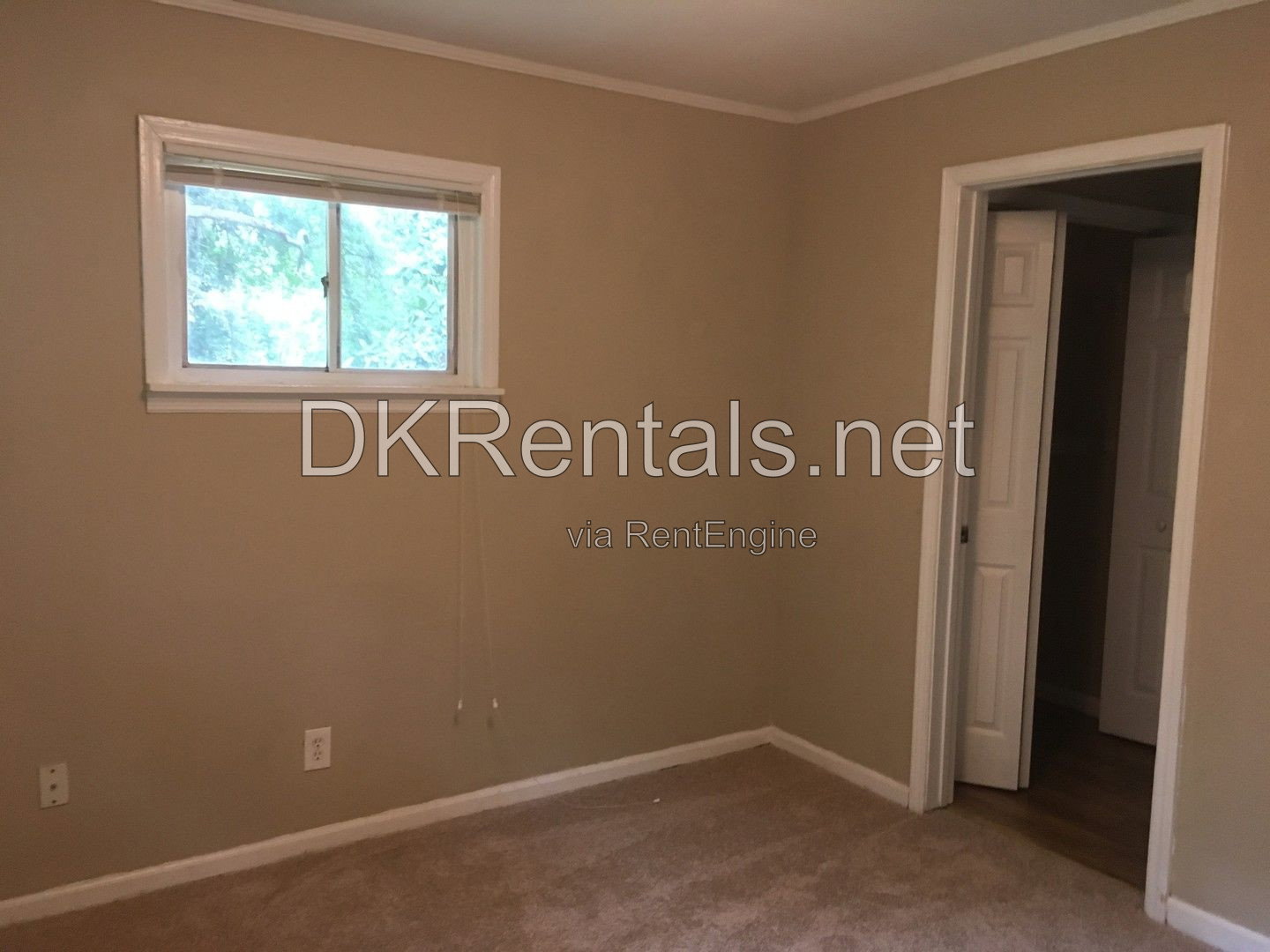 Gallery Image 19