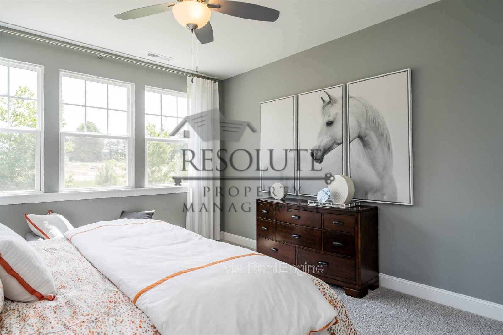 Gallery Image 21