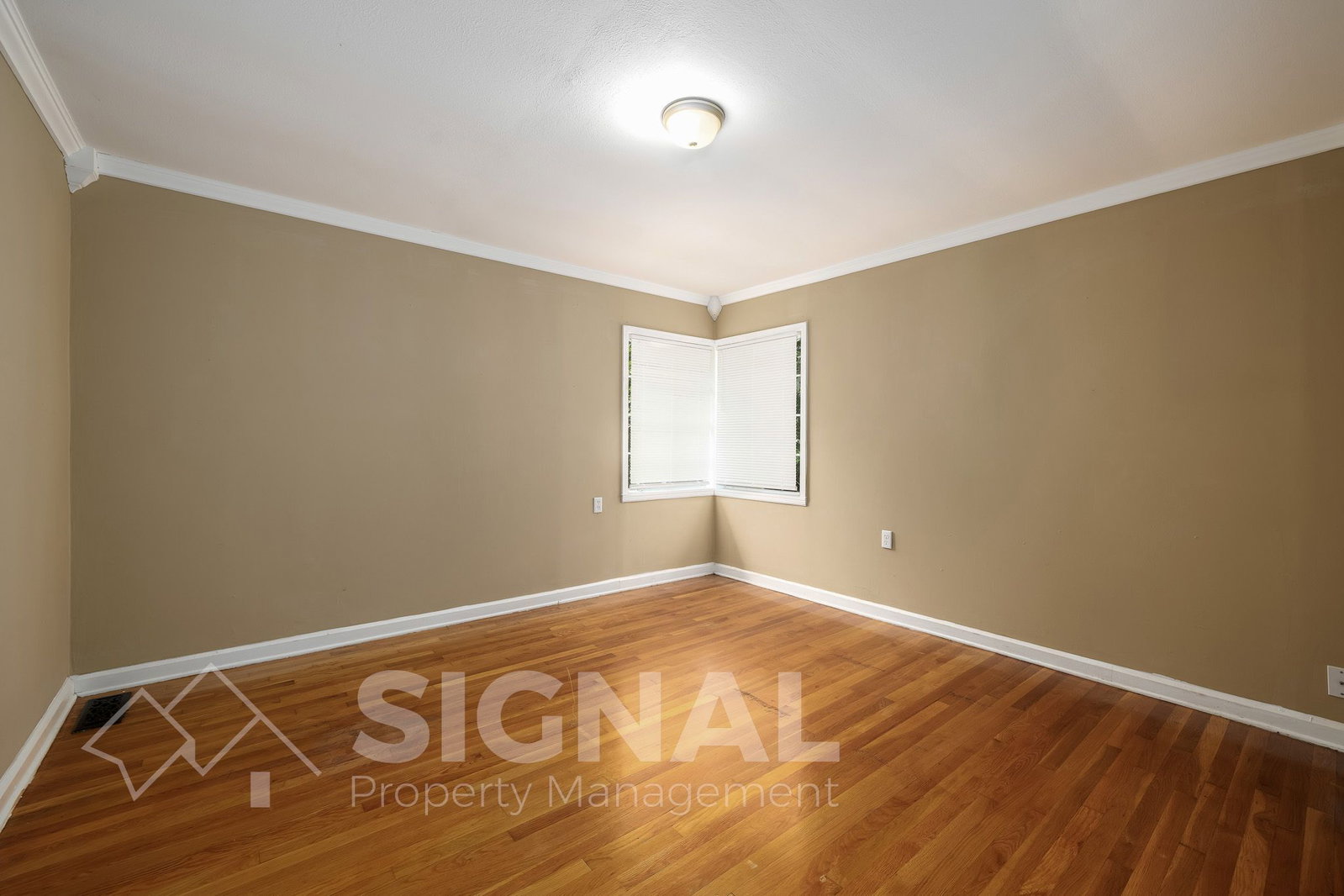 Gallery Image 16