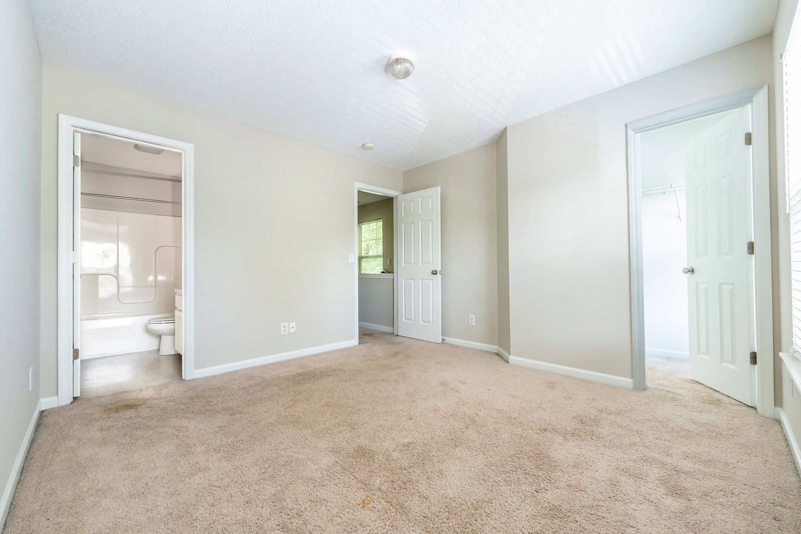 Gallery Image 19