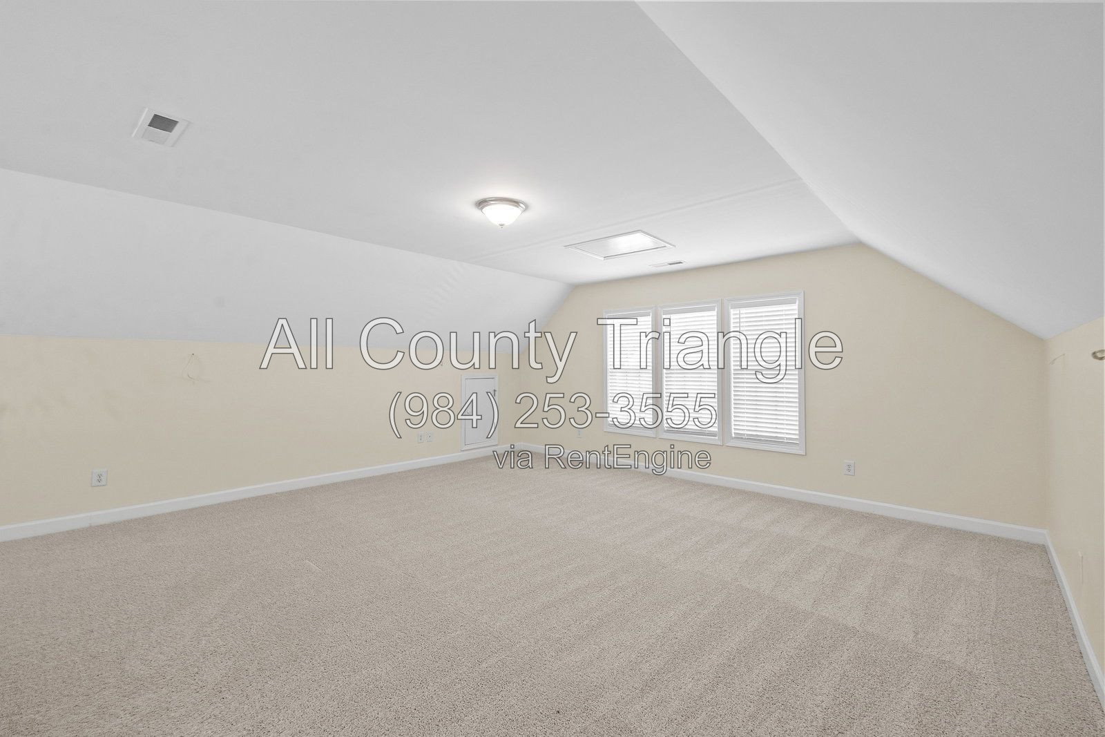 Gallery Image 23