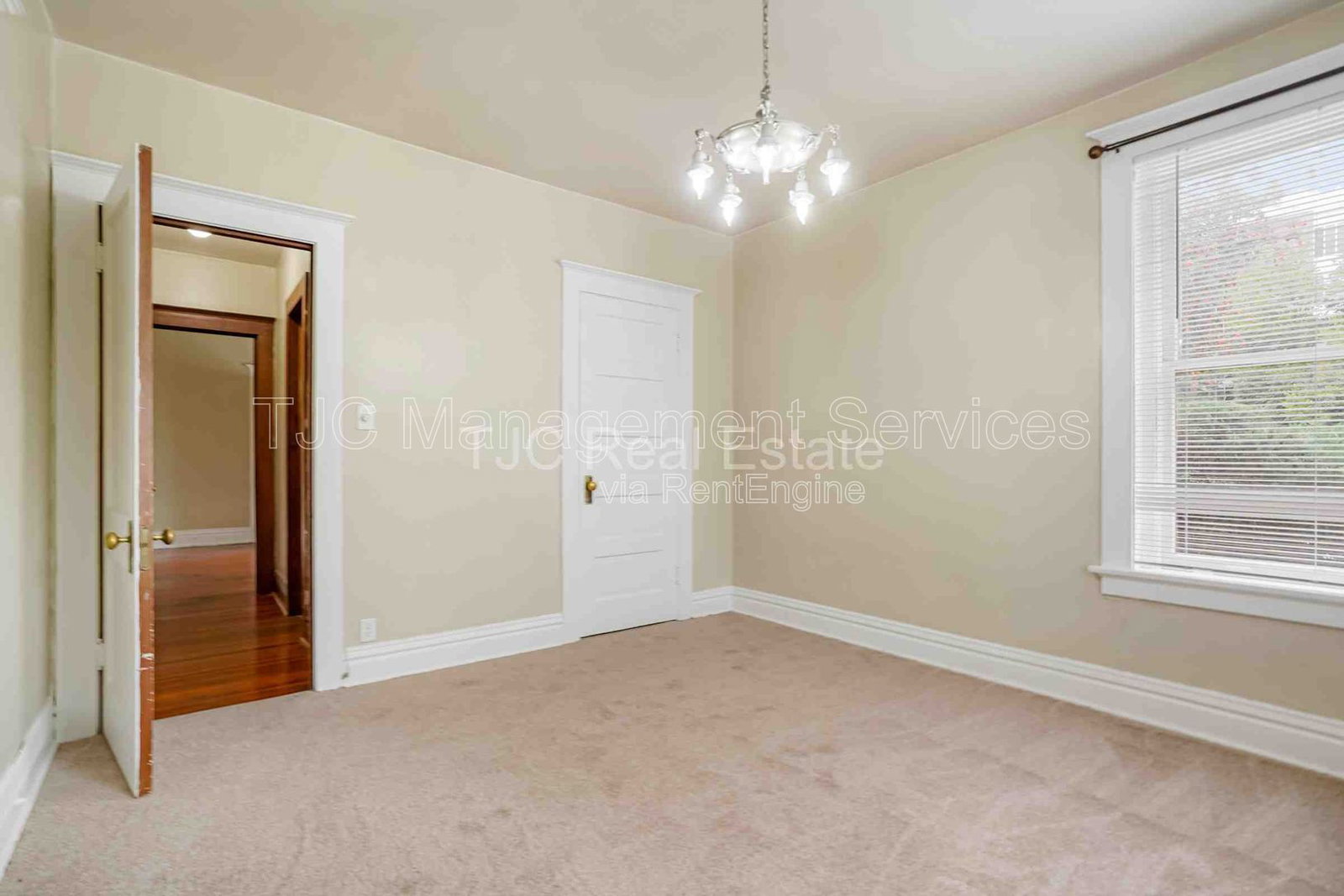 Gallery Image 16