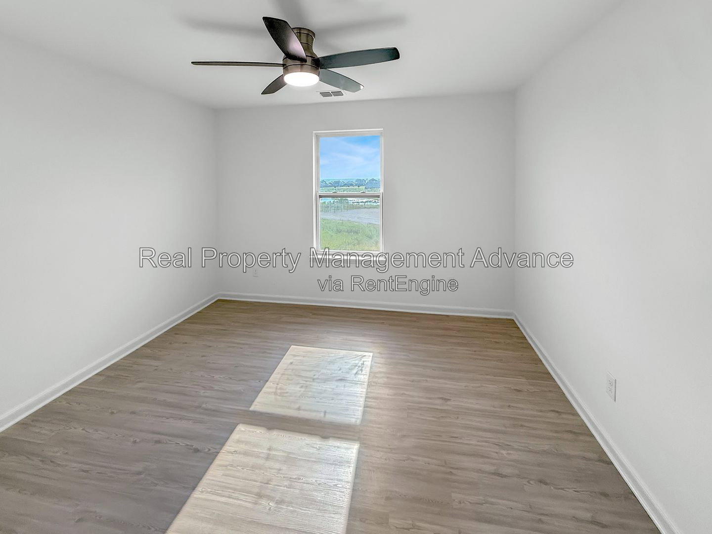 Gallery Image 18