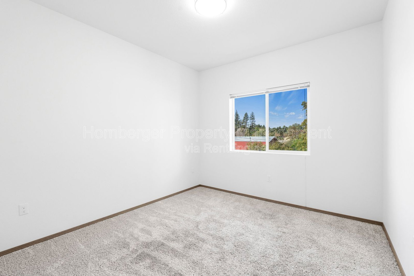 Gallery Image 23